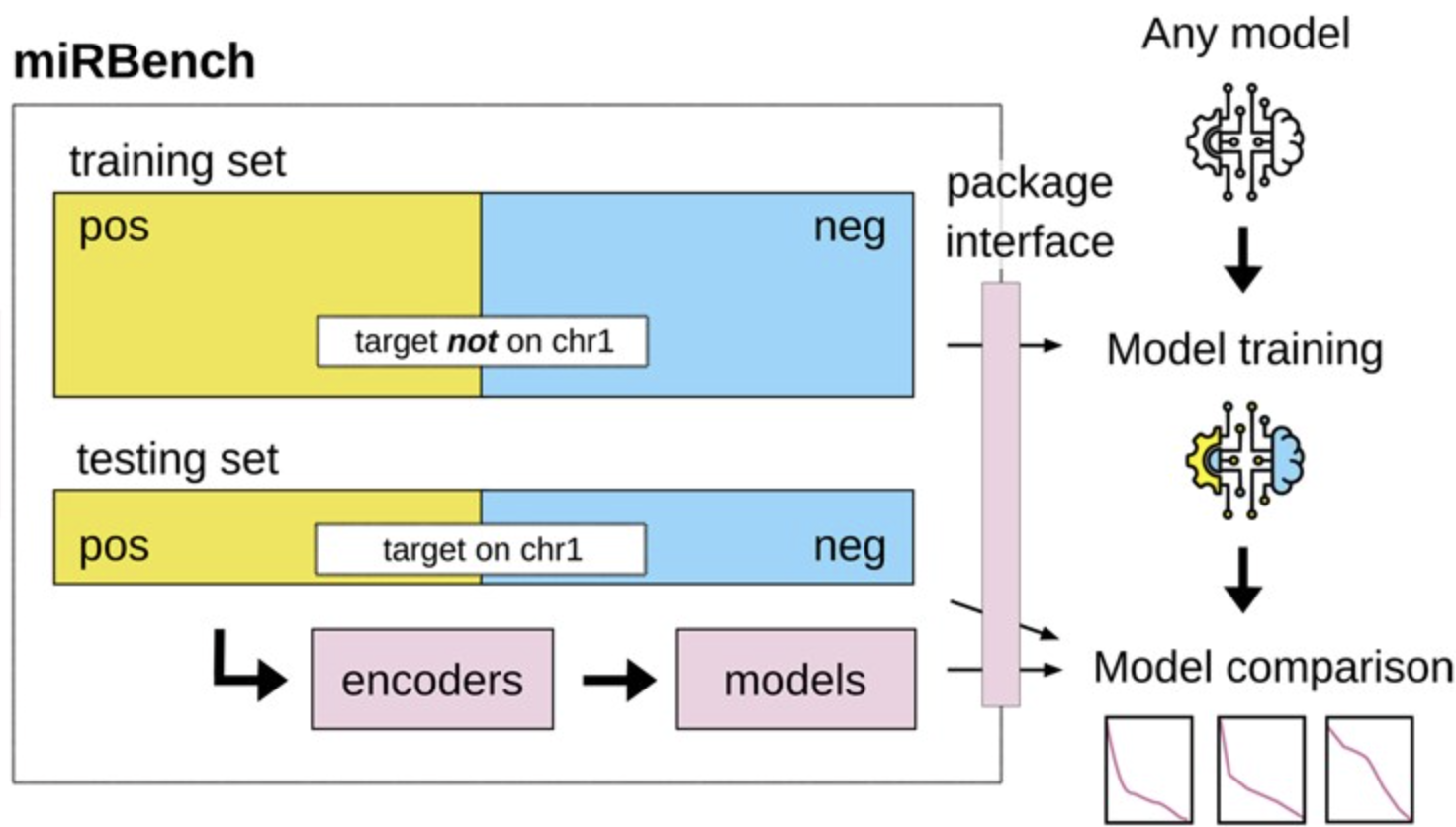 Precision-recall curves for seven miRNA binding predictors, evaluated on two of the miRBench test sets.